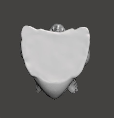 SD HEISEI GIGAN 1992 PVC VINTAGE FIGURE 15 INCH SUPER DEFORMED 3D print model_5