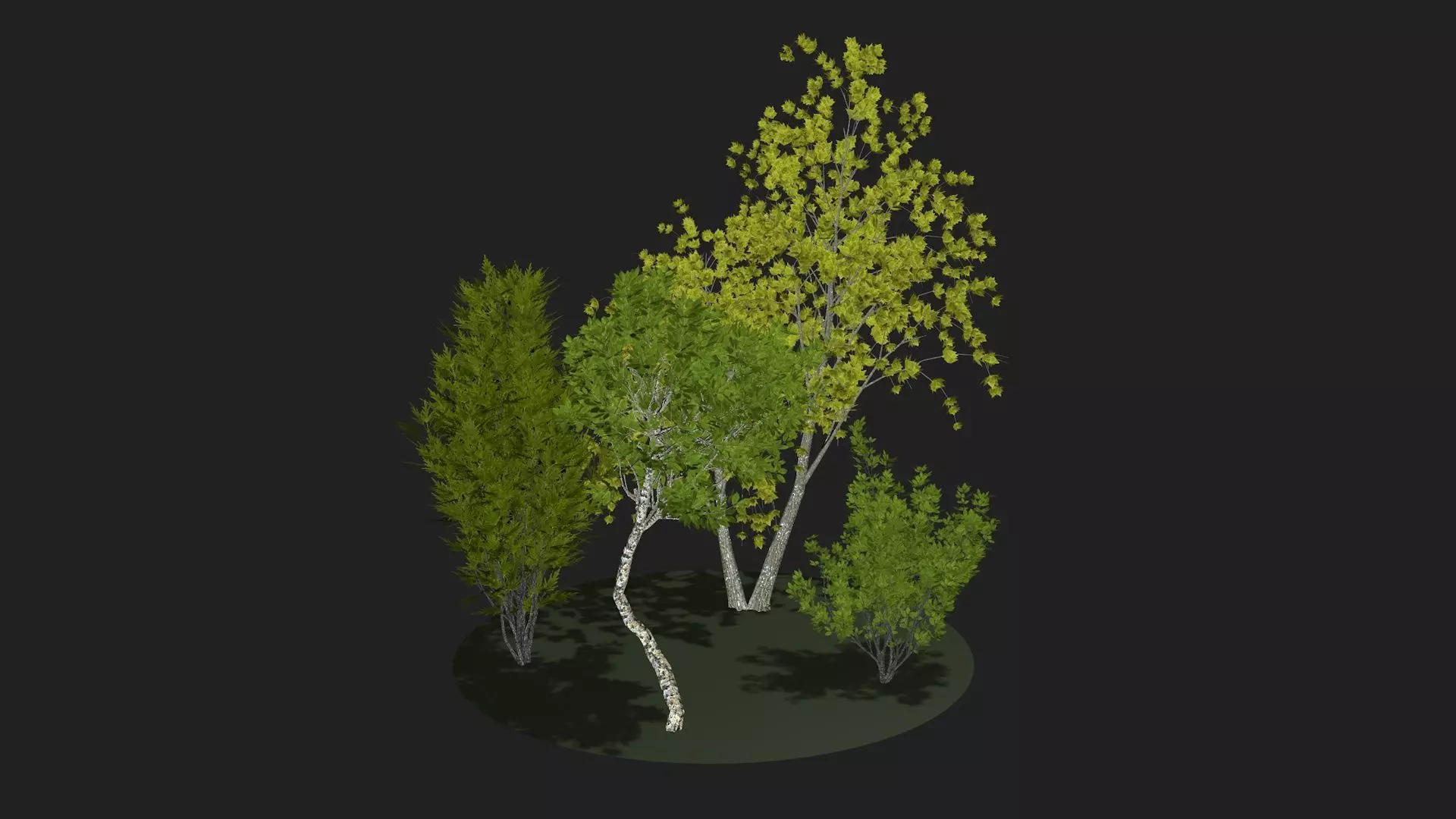 Four trees deciduous bushes 3D model