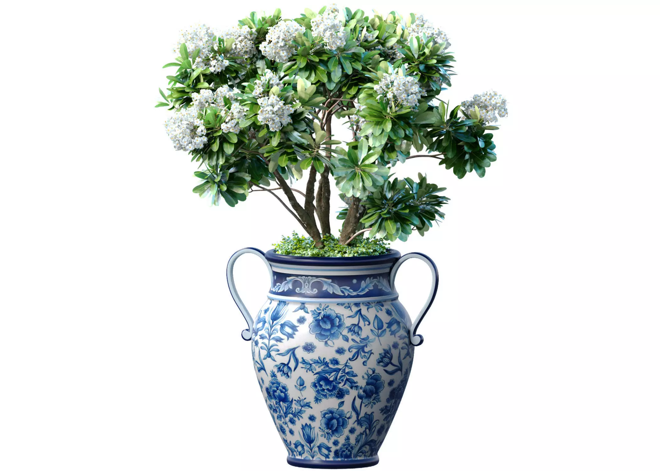 Decorative garden tree with white Plumeria flowers in a vase 3D model