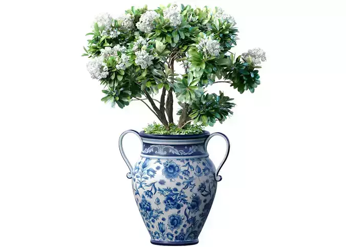 Decorative garden tree with white Plumeria flowers in a vase