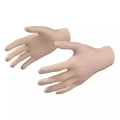 Female Hand Base Mesh 05