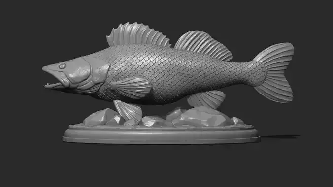 Zander on the base 3D print model