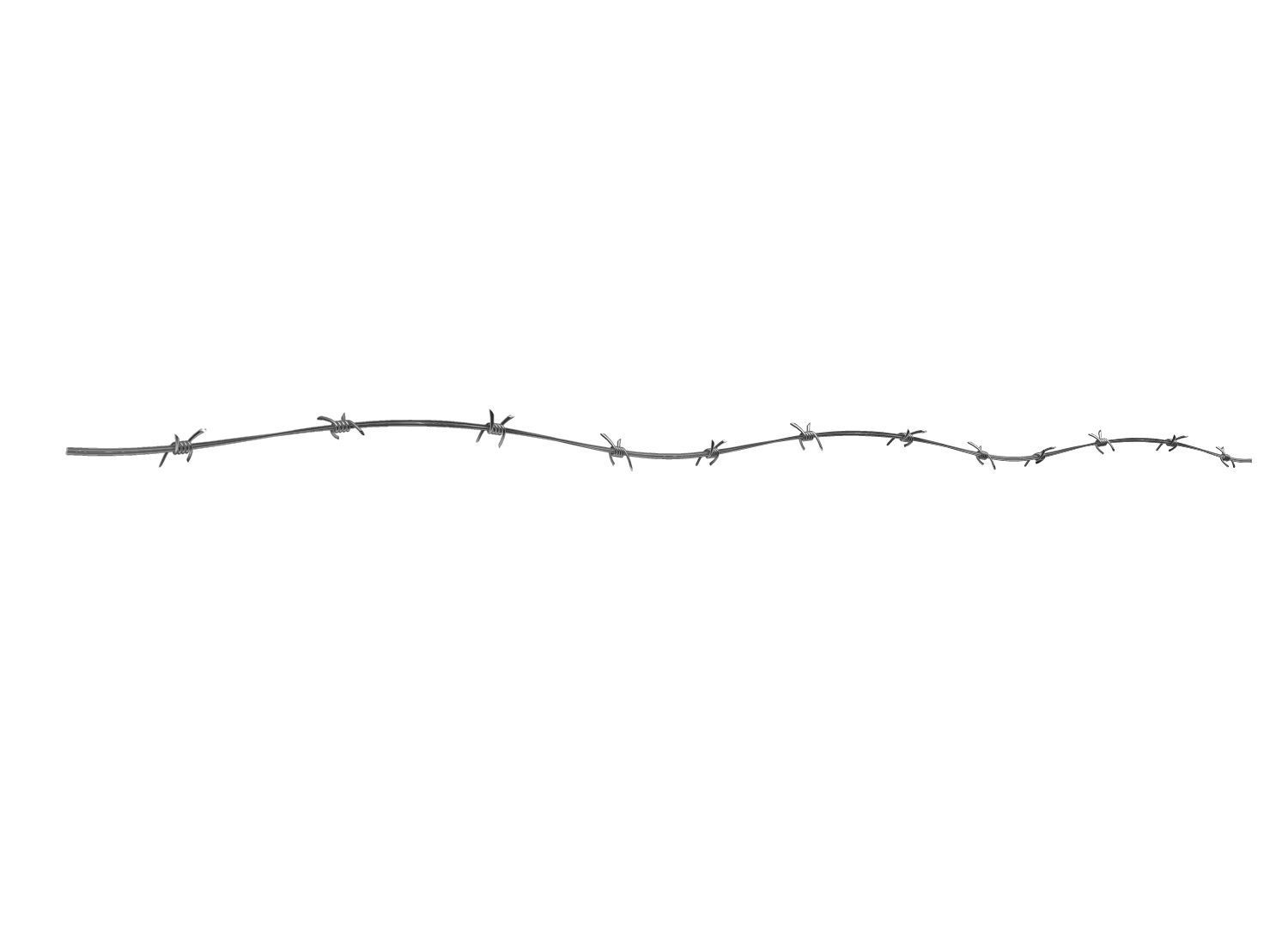 Barbed Wire 3D model_2