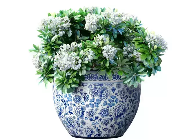 Bouquet of white flowers in a potted vase for decoration