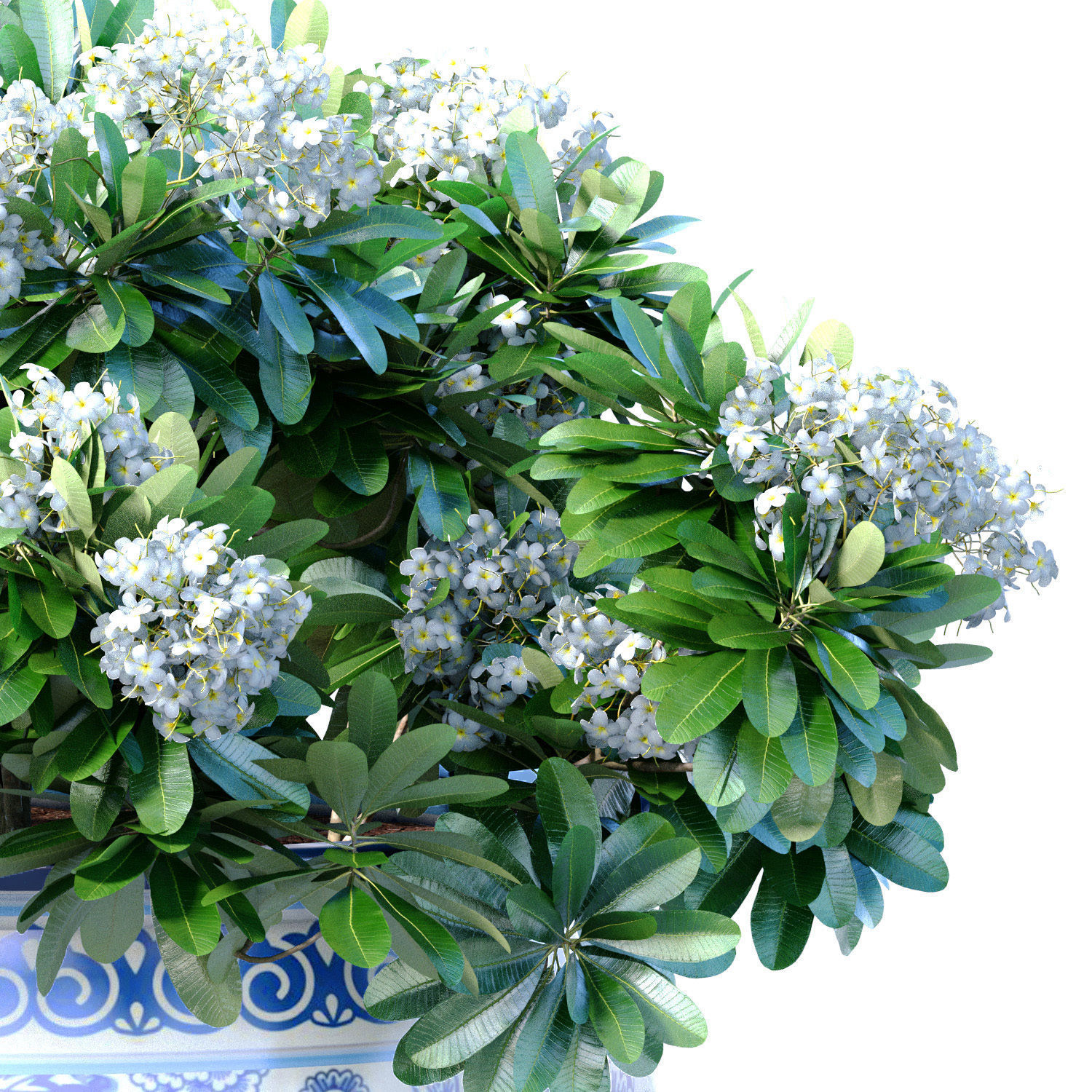 Bouquet of white flowers in a potted vase for decoration 3D model_1
