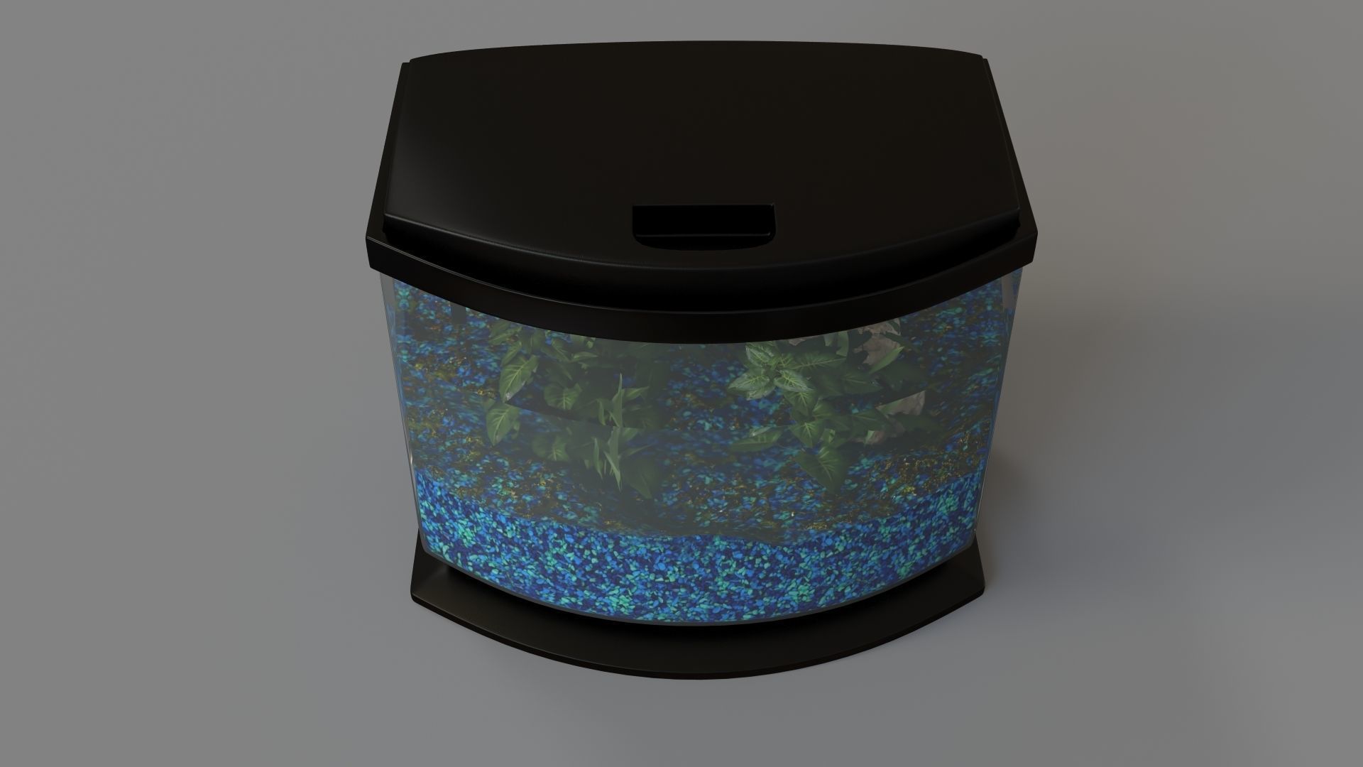 Fish Tank 01 3D model_3