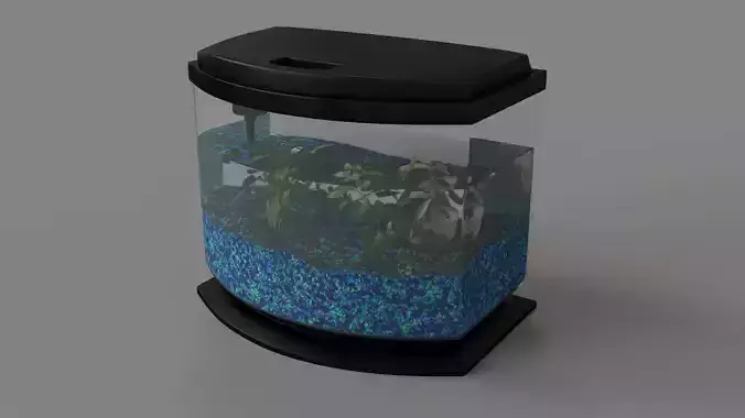 Fish Tank 01