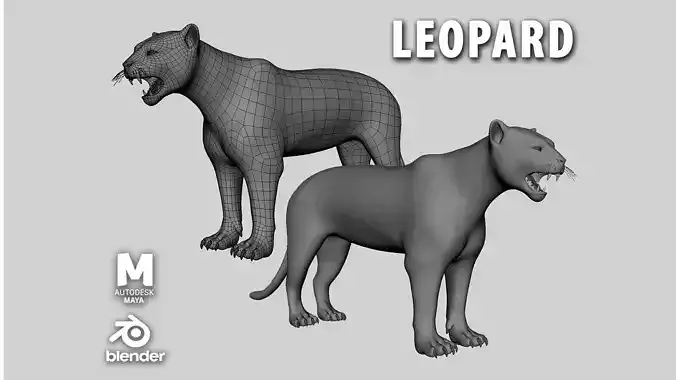 Leopard Model Low-poly 3D model