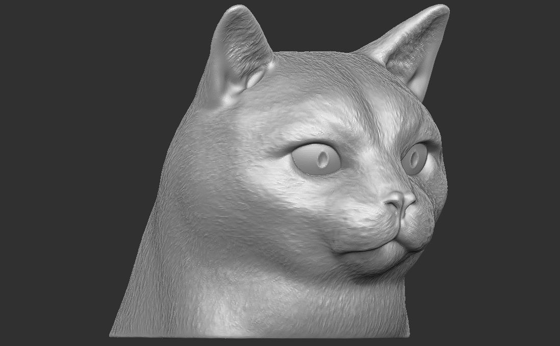 Domestic shorthair cat for 3D printing 3D print model_15