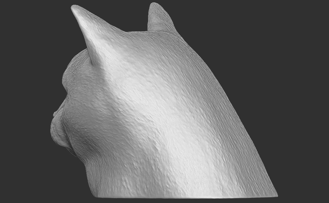 Domestic shorthair cat for 3D printing 3D print model_8