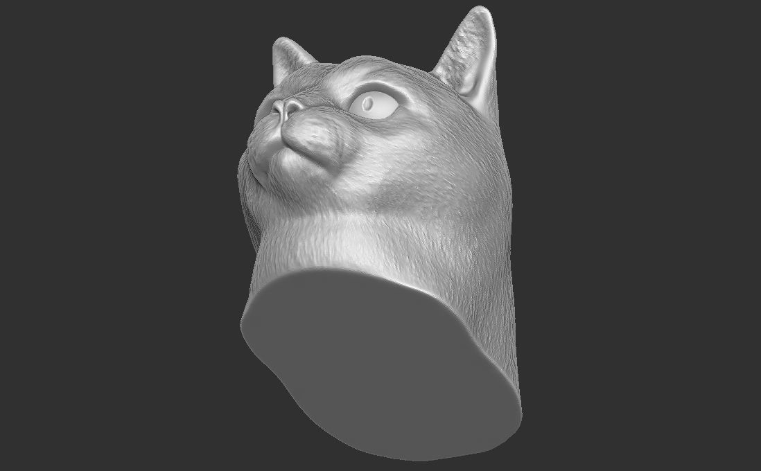Domestic shorthair cat for 3D printing 3D print model_21