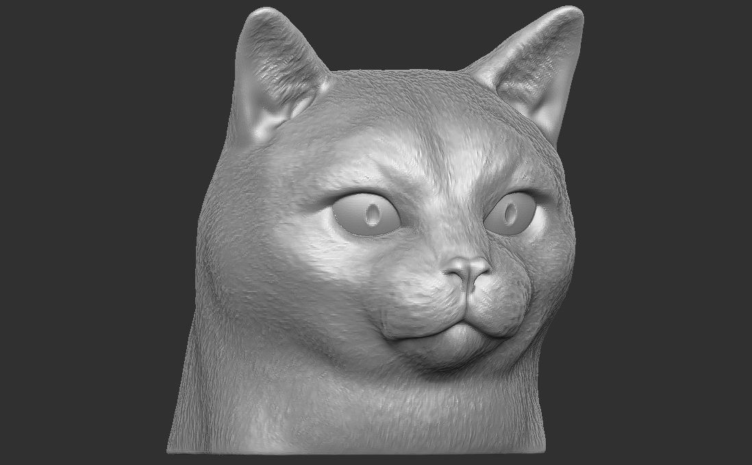 Domestic shorthair cat for 3D printing 3D print model_16