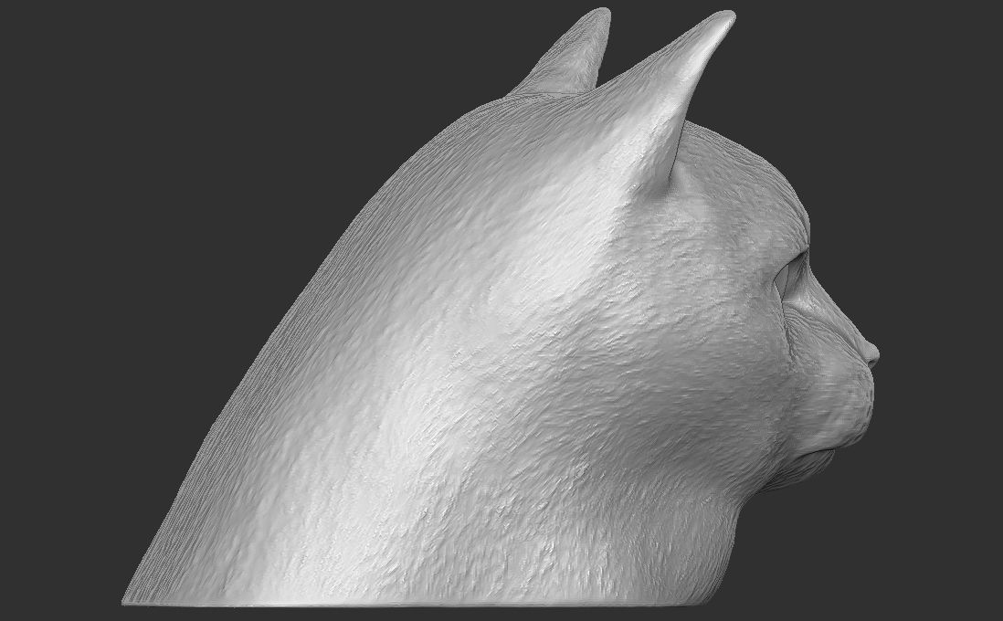 Domestic shorthair cat for 3D printing 3D print model_12