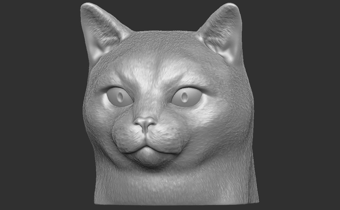Domestic shorthair cat for 3D printing 3D print model_5