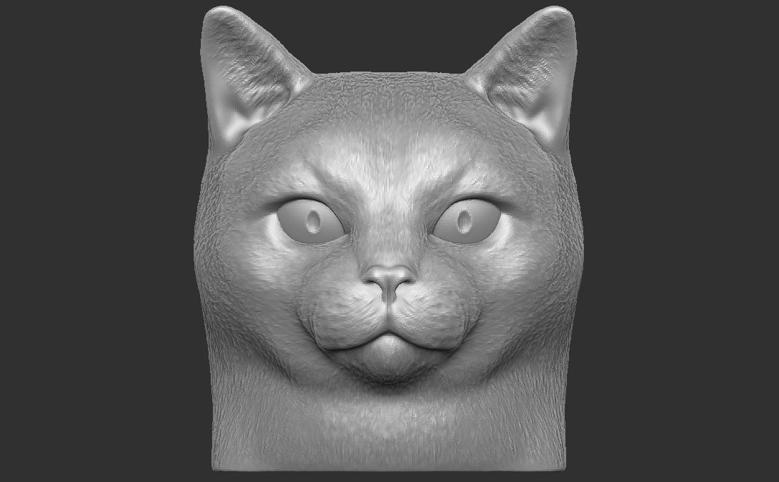 Domestic shorthair cat for 3D printing 3D print model_4