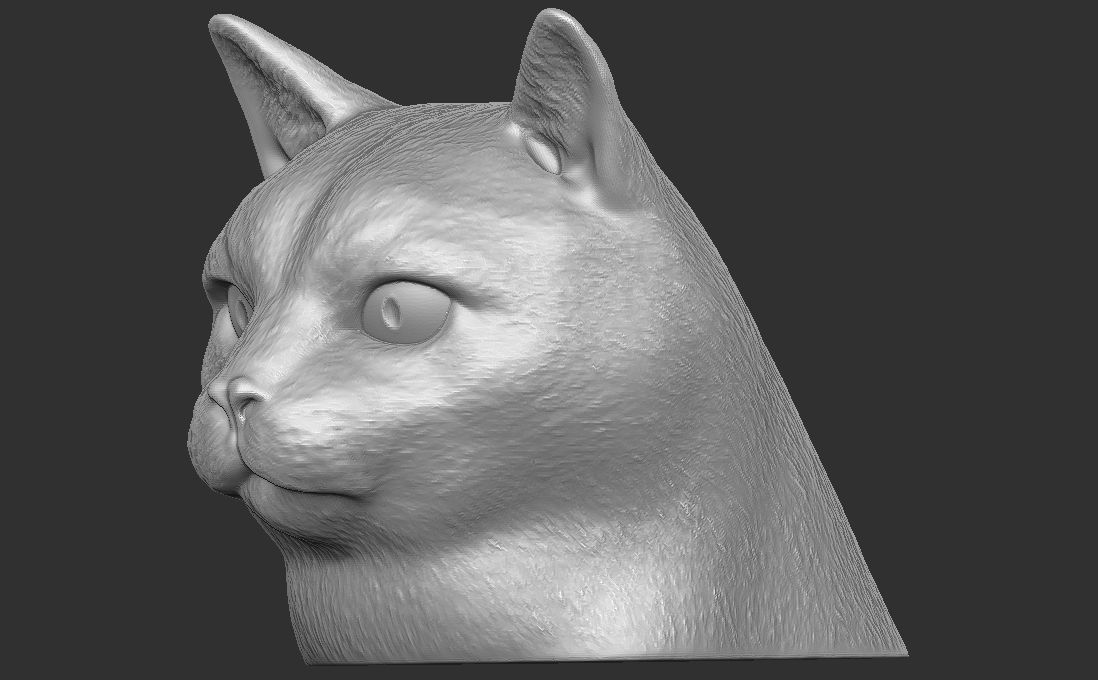 Domestic shorthair cat for 3D printing 3D print model_6
