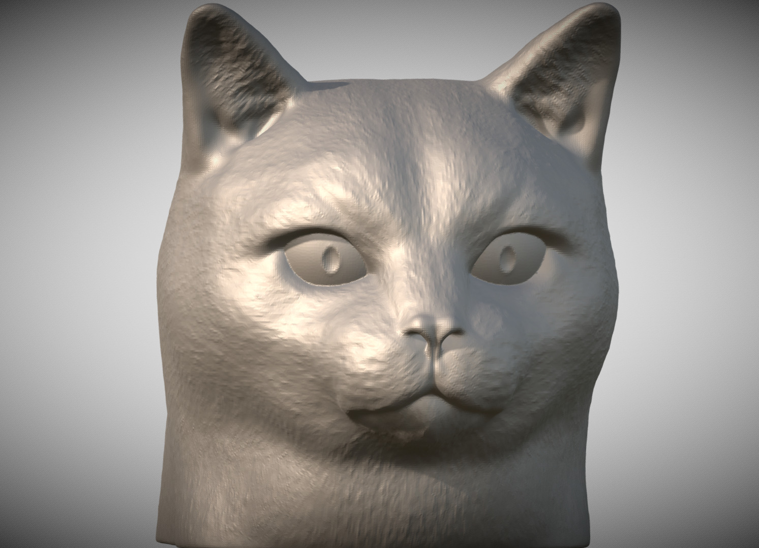 Domestic shorthair cat for 3D printing 3D print model_2