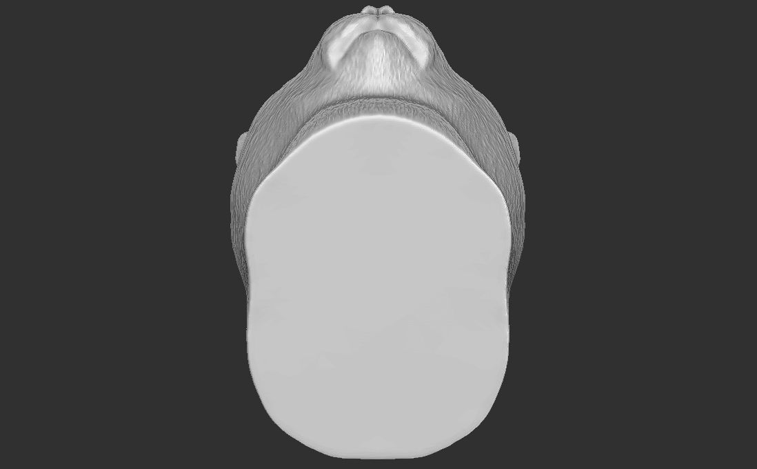 Domestic shorthair cat for 3D printing 3D print model_22