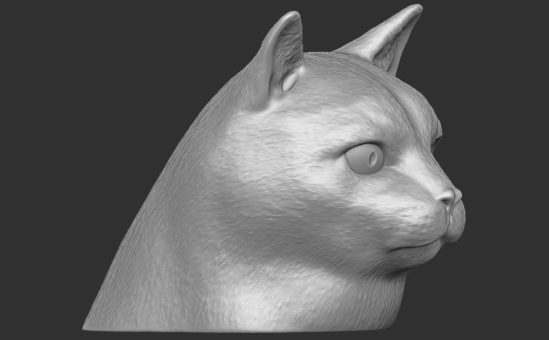 Domestic shorthair cat for 3D printing 3D print model_14