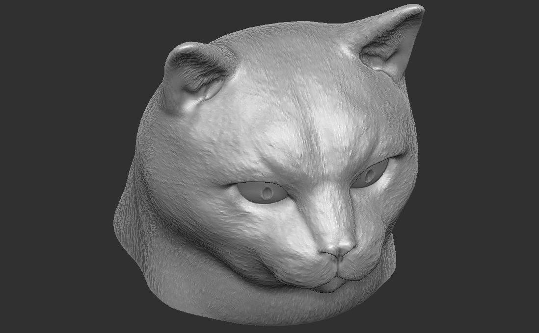 Domestic shorthair cat for 3D printing 3D print model_17