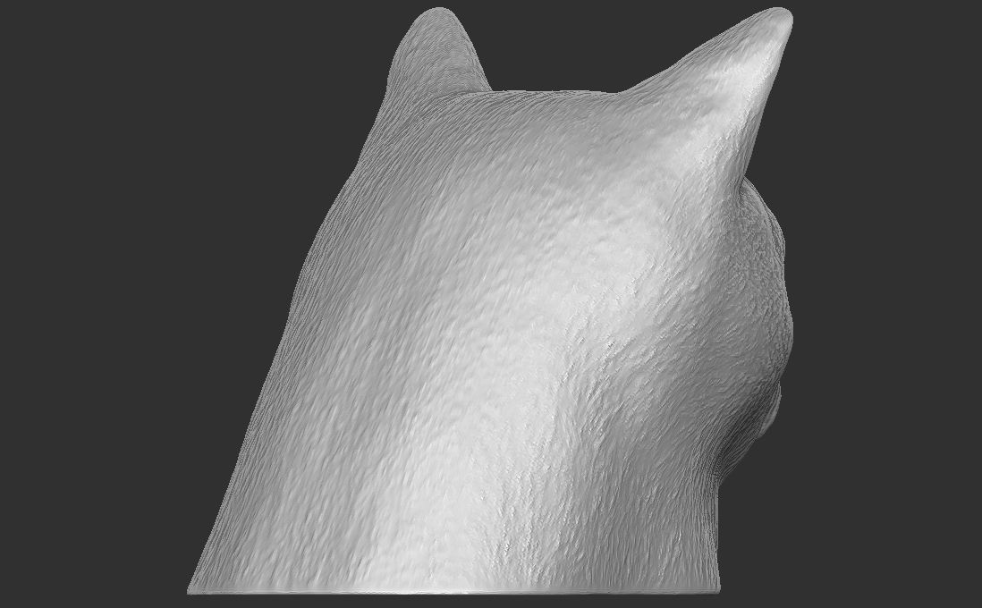 Domestic shorthair cat for 3D printing 3D print model_11