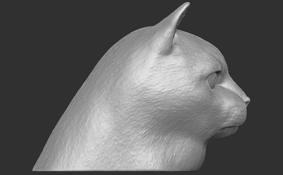 Domestic shorthair cat for 3D printing 3D print model_13