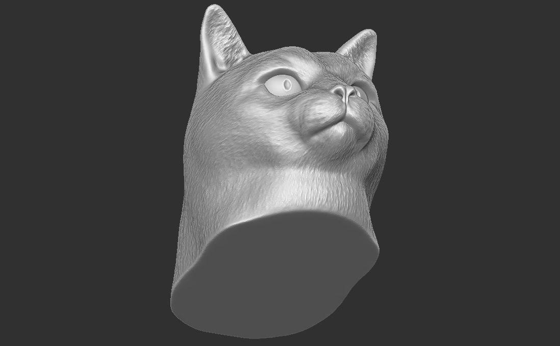 Domestic shorthair cat for 3D printing 3D print model_20