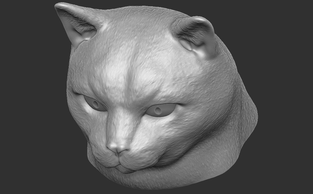 Domestic shorthair cat for 3D printing 3D print model_18