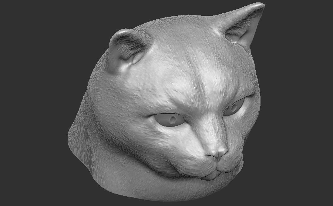 Domestic shorthair cat for 3D printing 3D print model_19