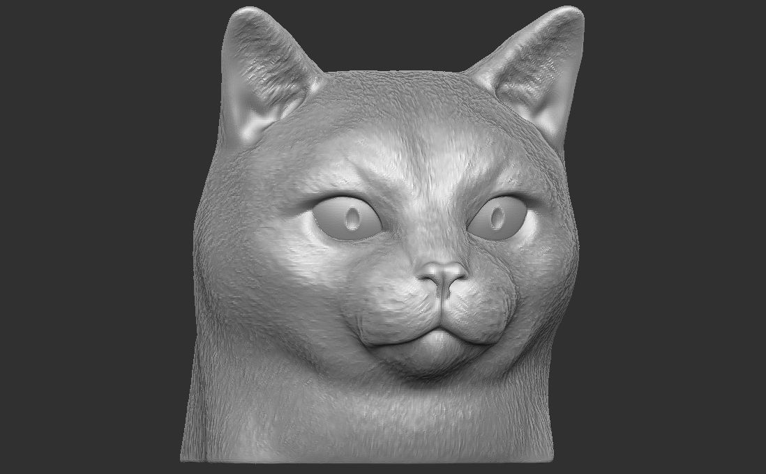 Domestic shorthair cat for 3D printing 3D print model_3