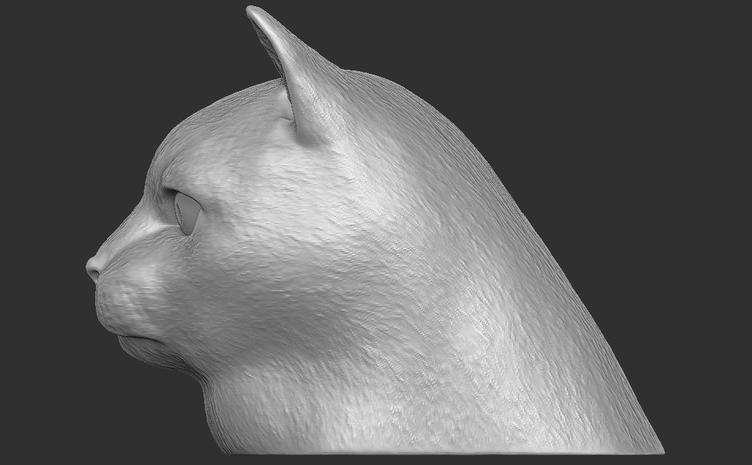 Domestic shorthair cat for 3D printing 3D print model_7