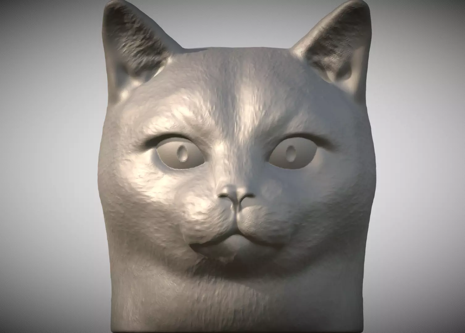Domestic shorthair cat for 3D printing 3D print model_0