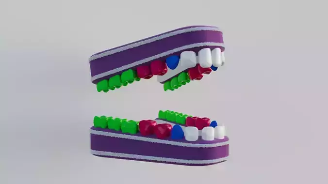 Human teeth 3D model