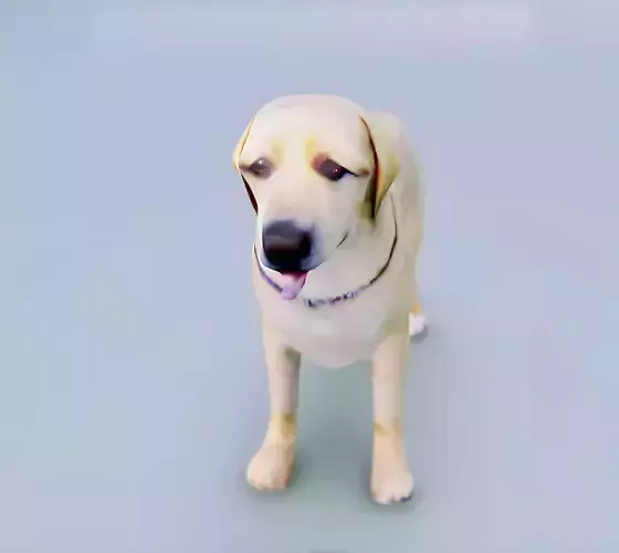 English Cream Labrador Retriever 3d hyper realistic