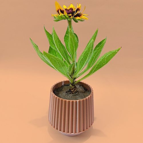 Planter Free 3D print model