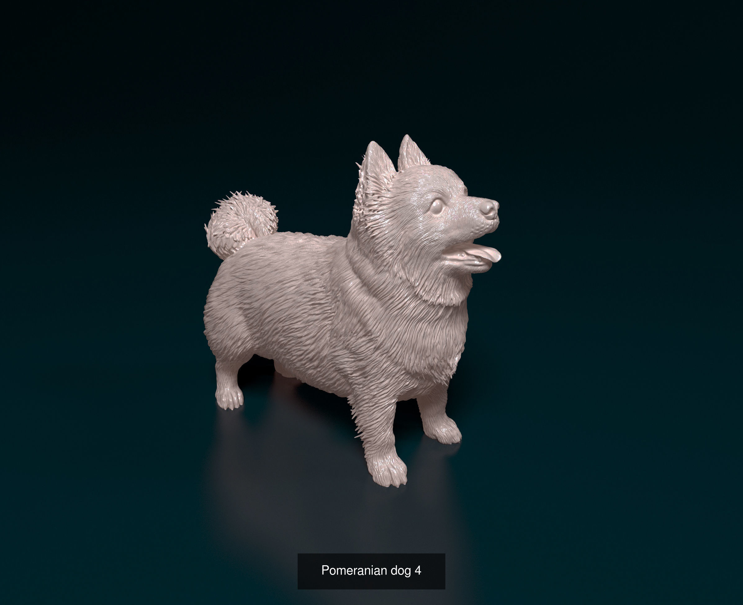 samoritos collection _19