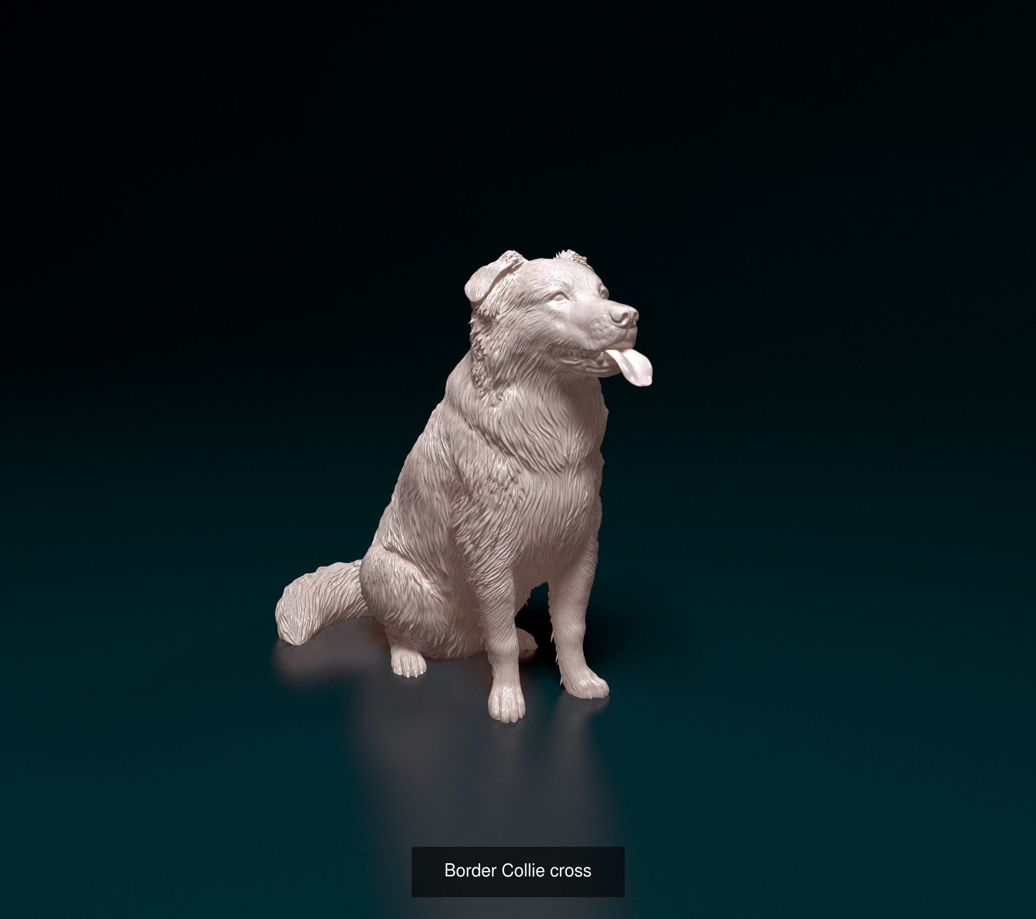 samoritos collection _18