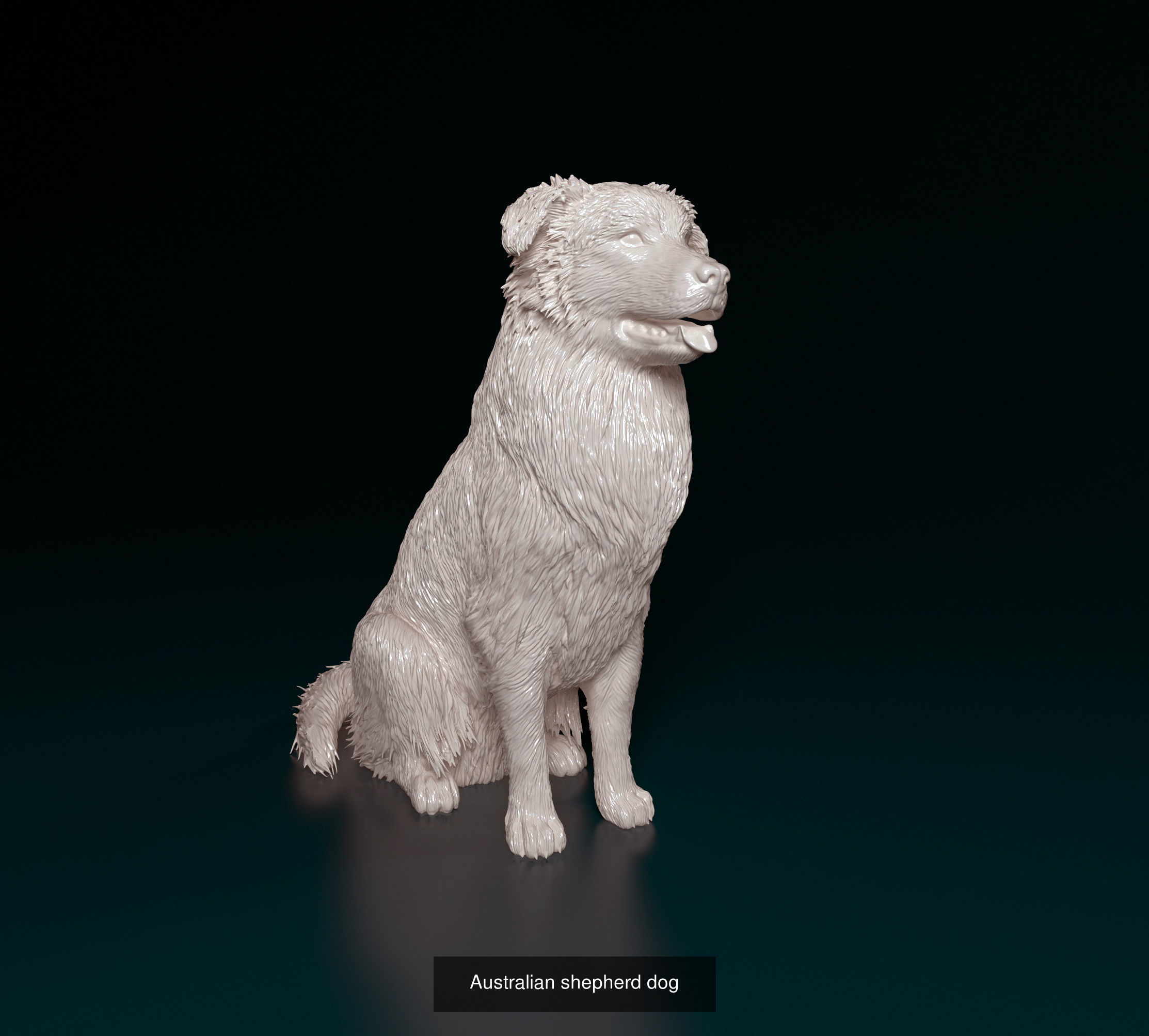 samoritos collection _3