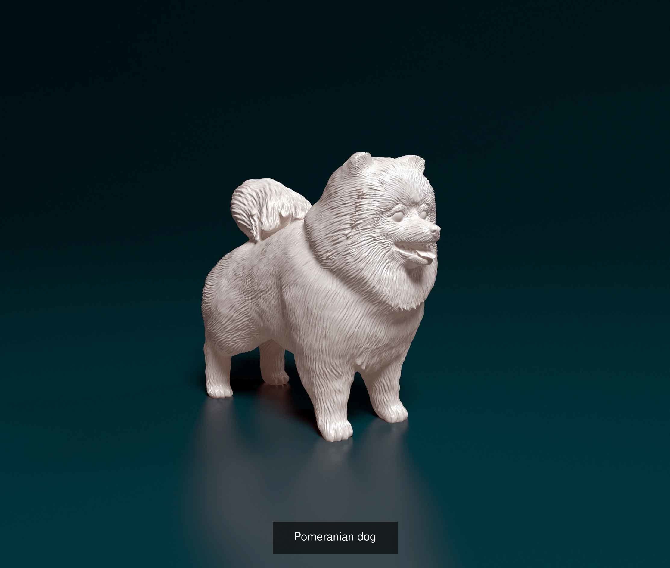 samoritos collection _11