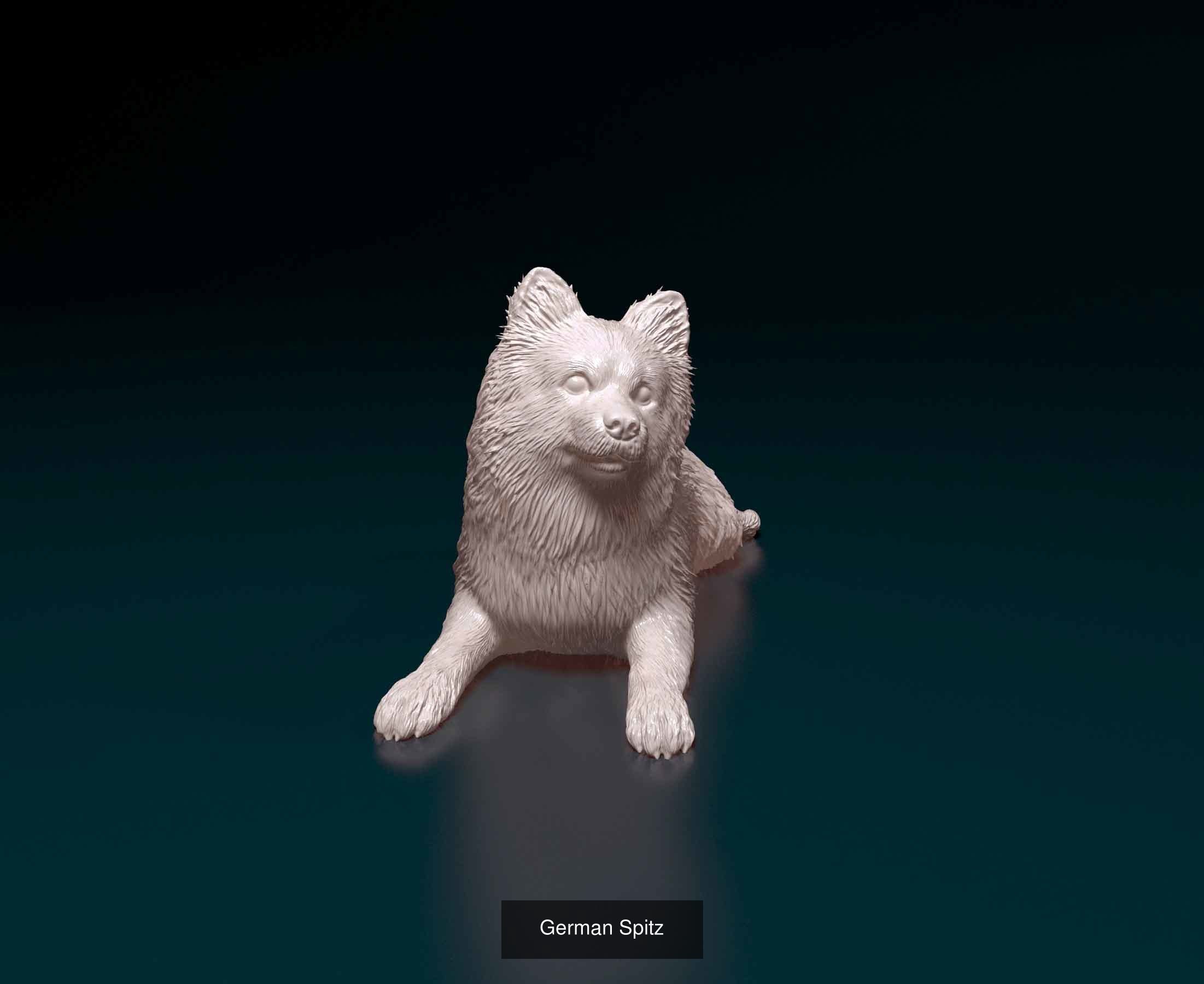 samoritos collection _16