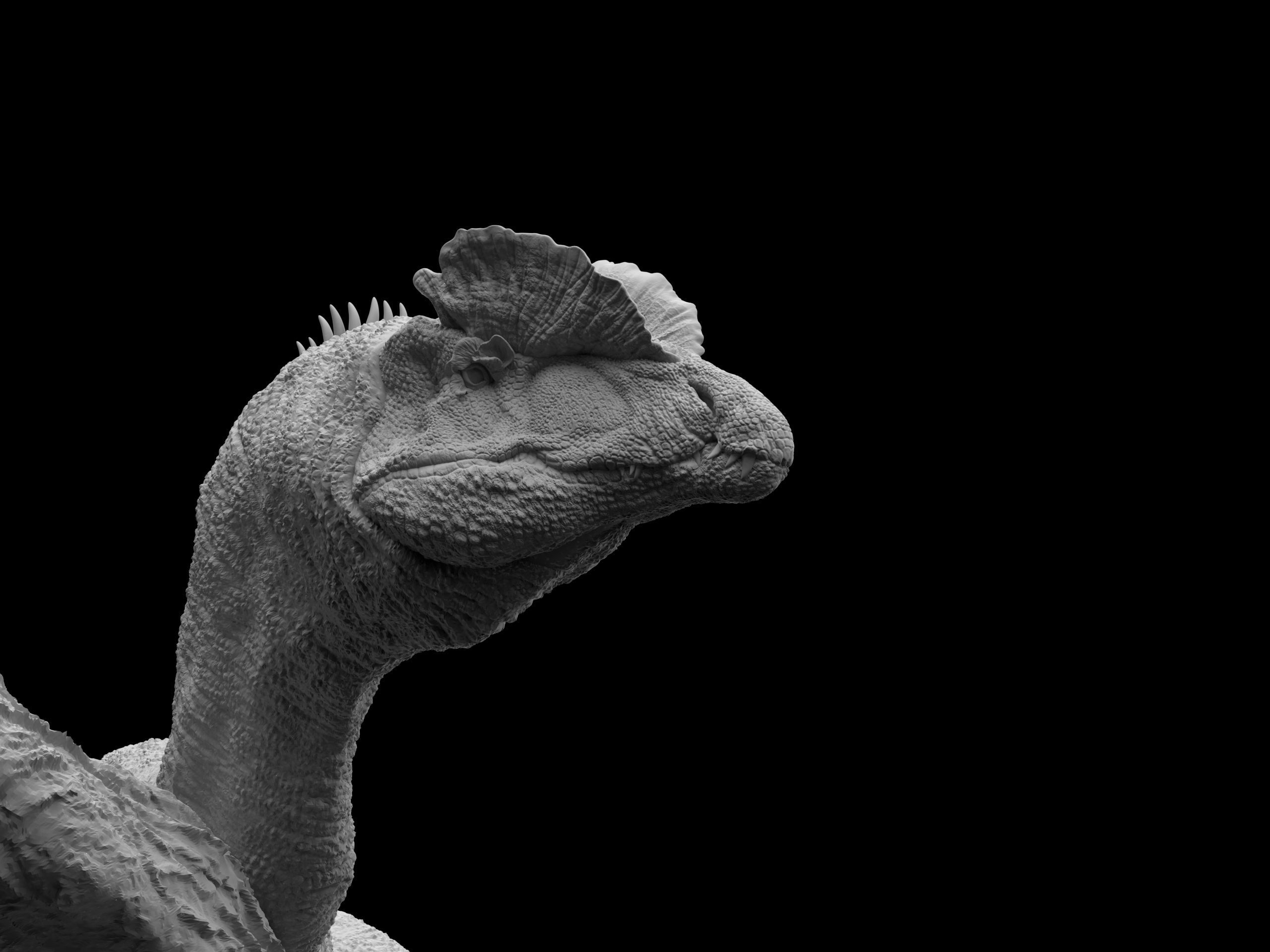 Dilophosaurus wheterilli 3D print model_1