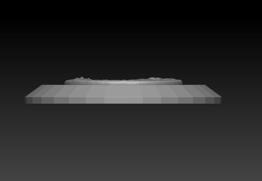 Dilophosaurus wheterilli 3D print model_9