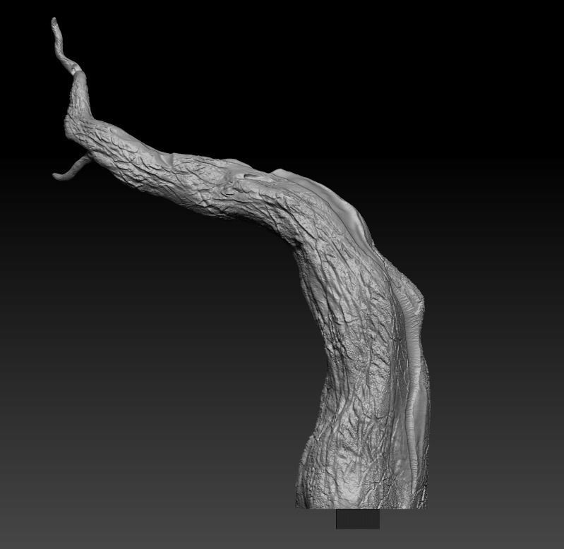 Dilophosaurus wheterilli 3D print model_8