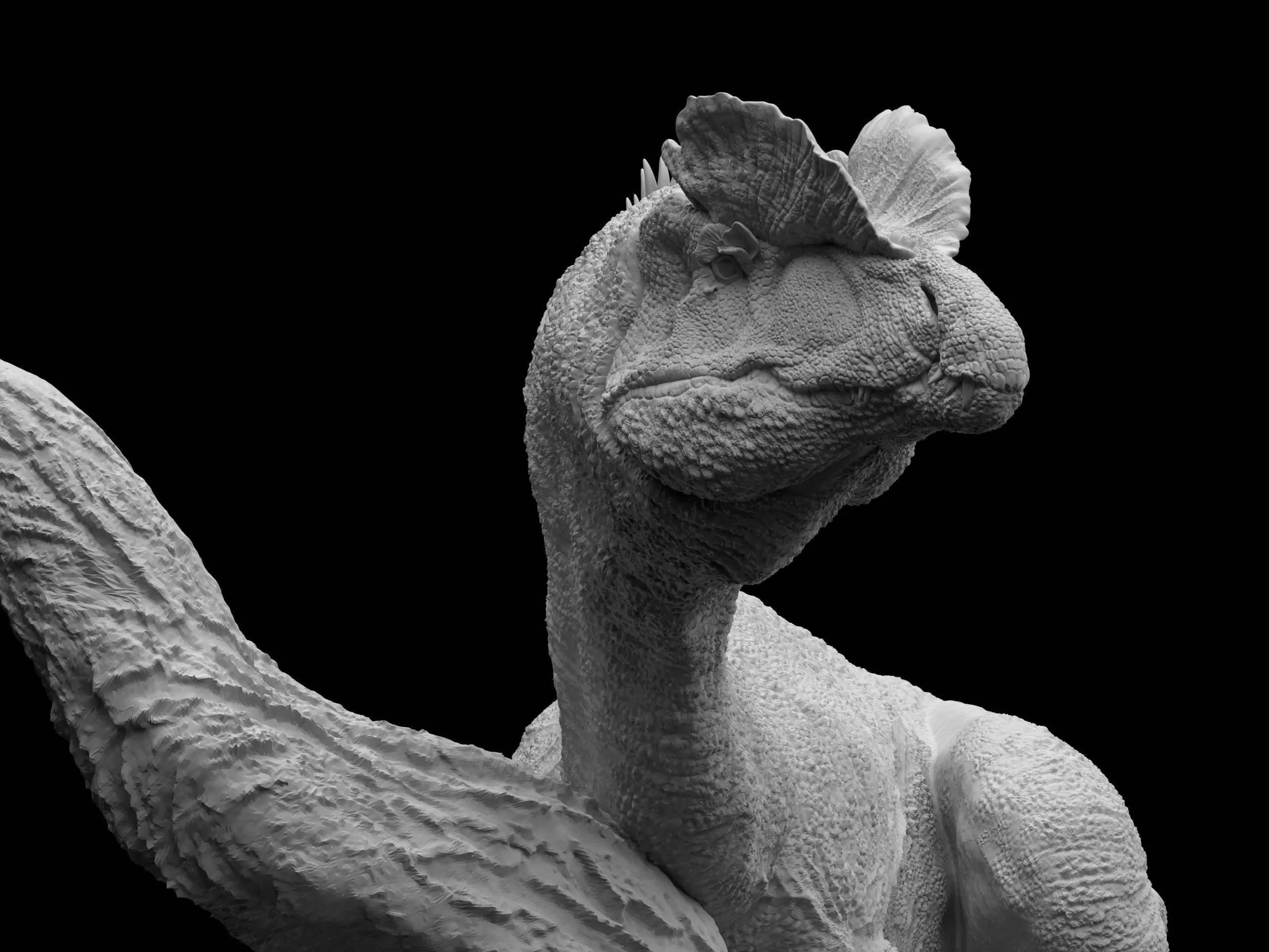 Dilophosaurus wheterilli 3D print model_0
