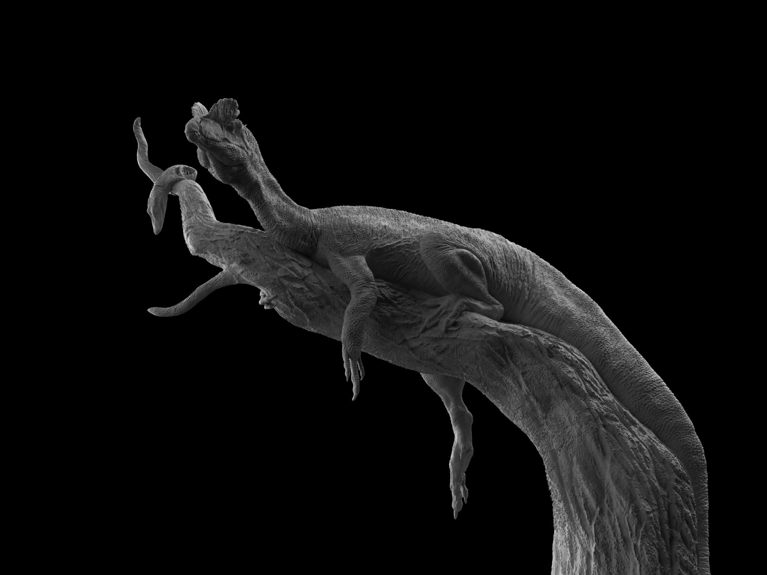 Dilophosaurus wheterilli 3D print model_3