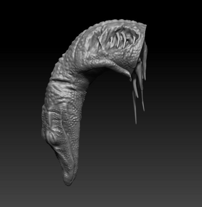 Dilophosaurus wheterilli 3D print model_7