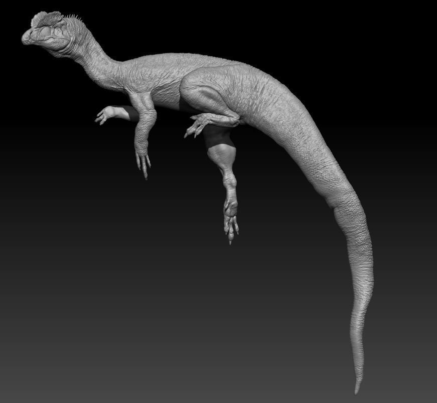 Dilophosaurus wheterilli 3D print model_10
