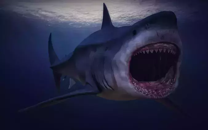 Megalodon 