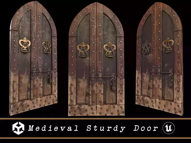 Medieval Sturdy Door
