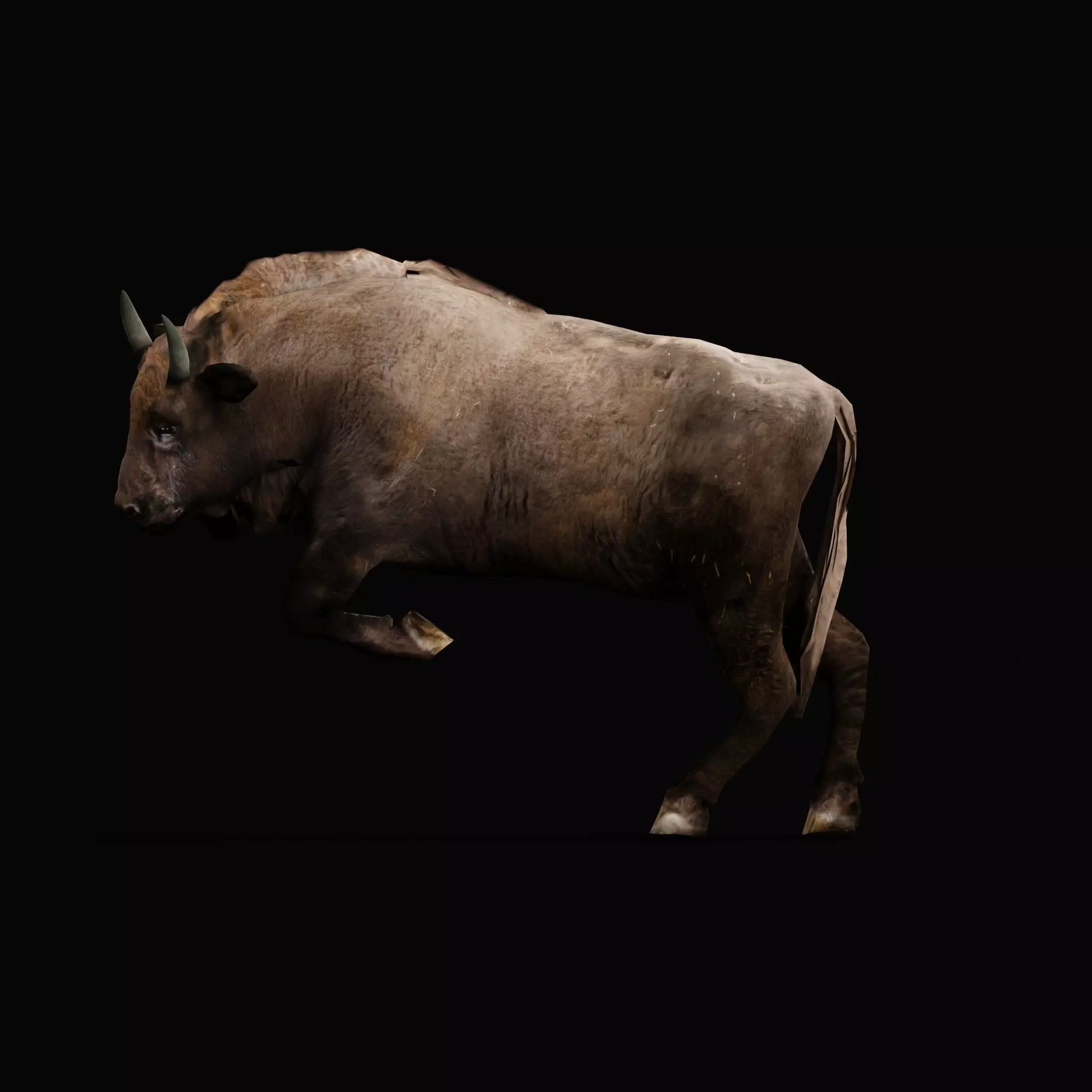 European bison Calf Low-poly 3D model